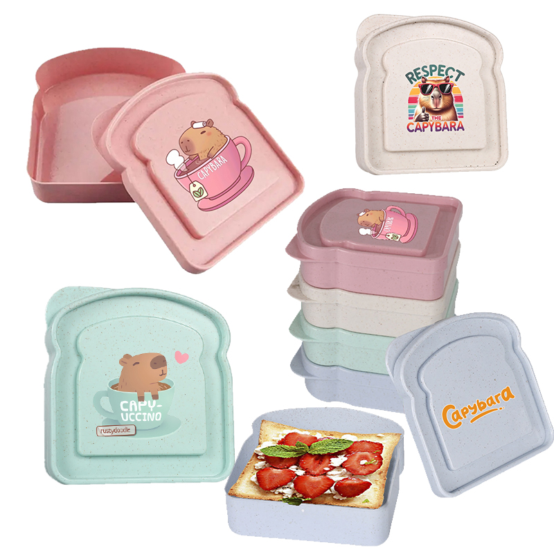 Food Storage Order - Capybara Sandviç Gıda Saklama Kutusu Konteyner
